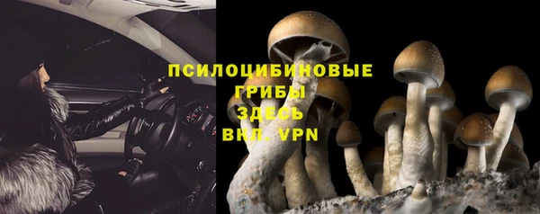 ГАЛЛЮЦИНОГЕННЫЕ ГРИБЫ Алексеевка