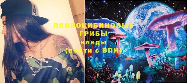ГАЛЛЮЦИНОГЕННЫЕ ГРИБЫ Алексеевка