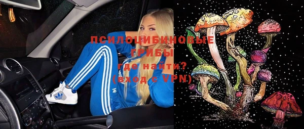 герыч Алексин